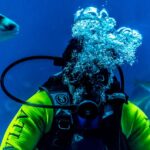 how to catch all stormfish in sea of thieves mgrgametron​